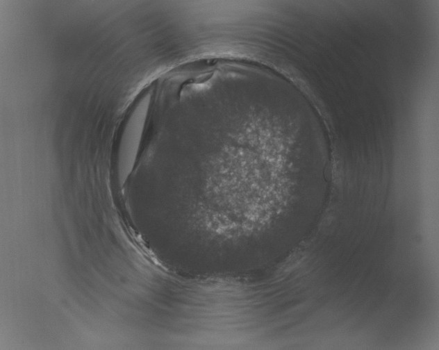 X0000076030434200610201831