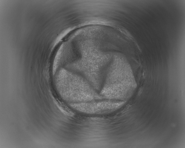 X0000076030436200610201831