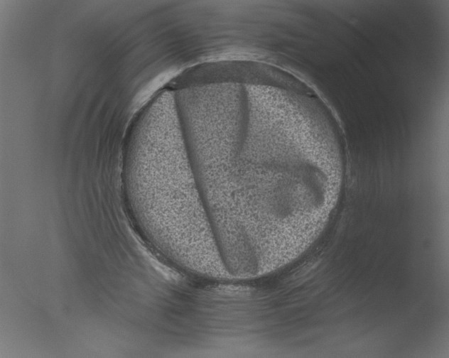 X0000076030437200610201831