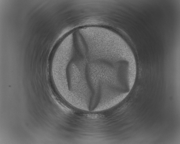 X0000076030439200610201831