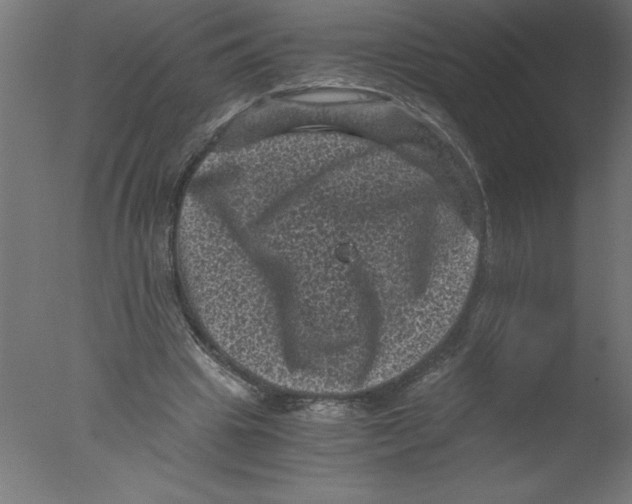 X0000076030441200610201831