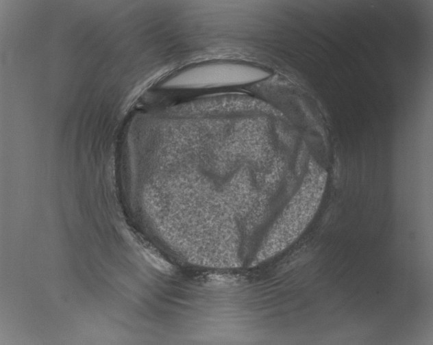 X0000076030442200610201831