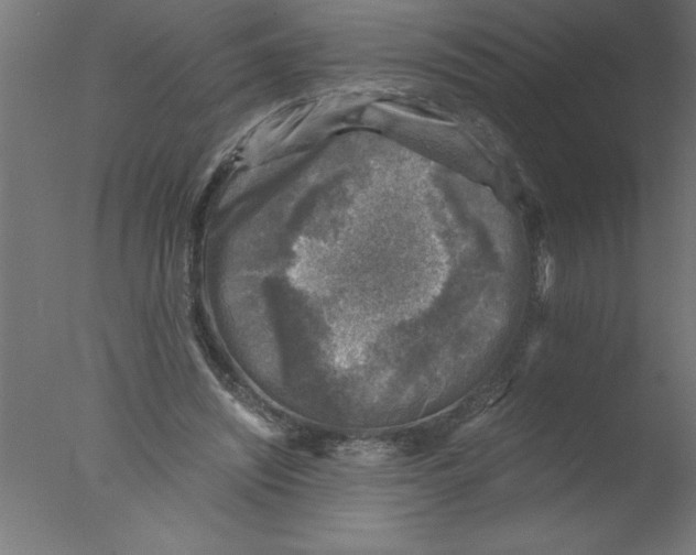 X0000076030444200610201831