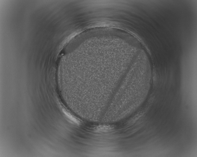 X0000076030445200610201831