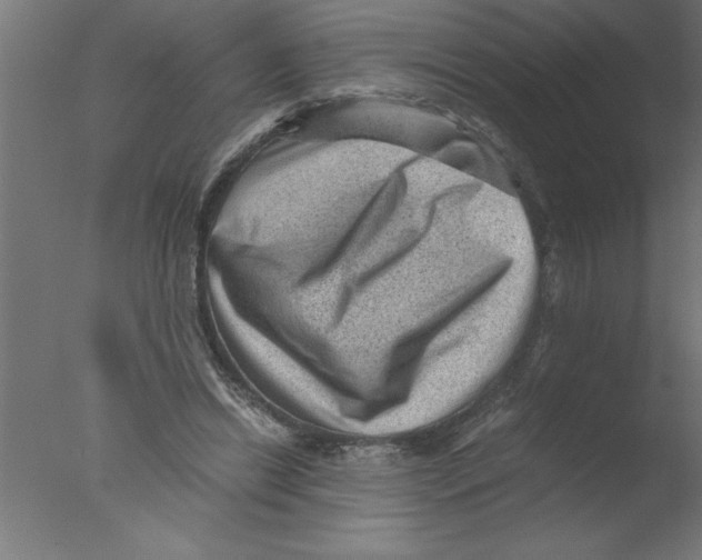 X0000076030446200610201831