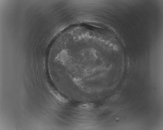 X0000076030447200610201831