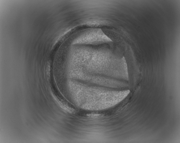 X0000076030448200610201831