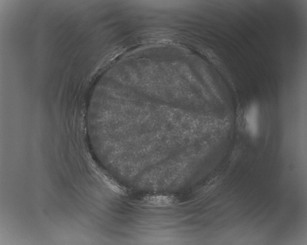 X0000076030449200610201831