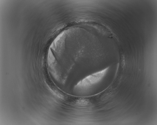 X0000076030451200610201831