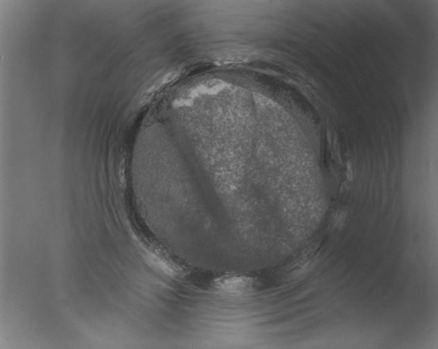 X0000076030452200610201831