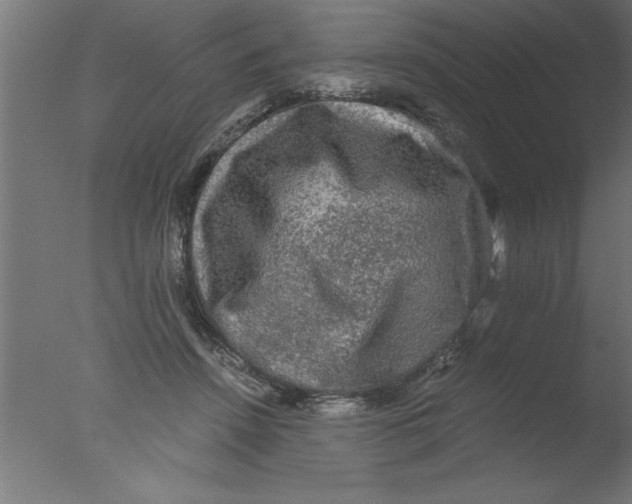 X0000076030456200610201831