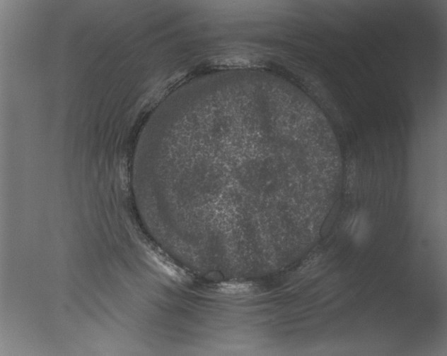 X0000076030457200610201831