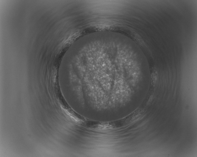 X0000076030458200610201831