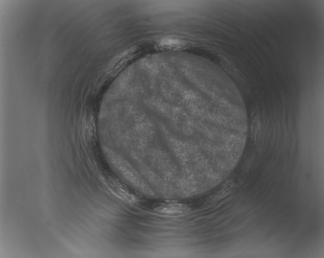 X0000076030459200610201831