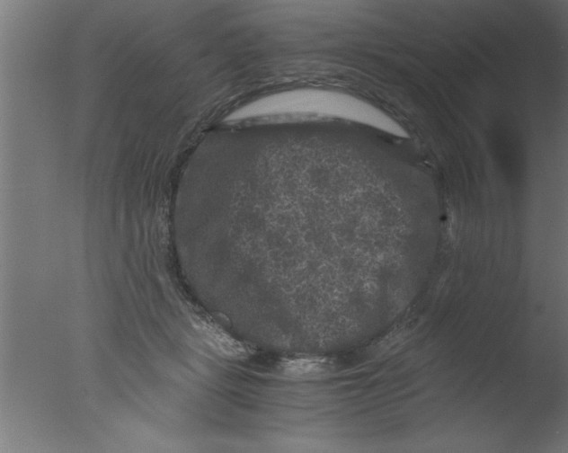 X0000076030461200610201832