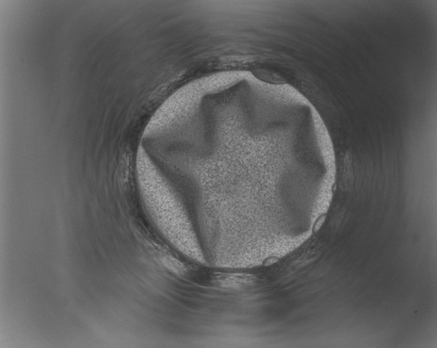 X0000076030463200610201832