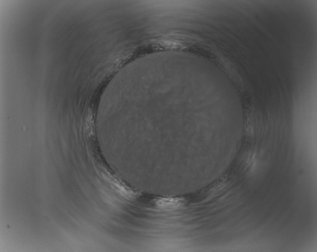 X0000076030465200610201832