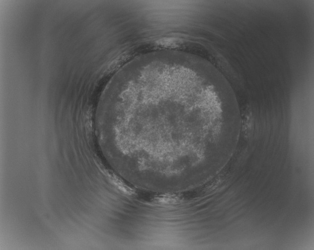 X0000076030466200610201832