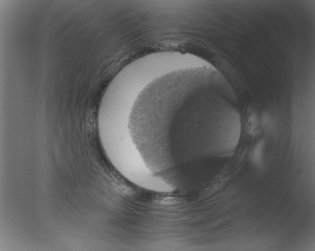 X0000076030467200610201832