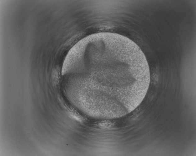 X0000076030468200610201832