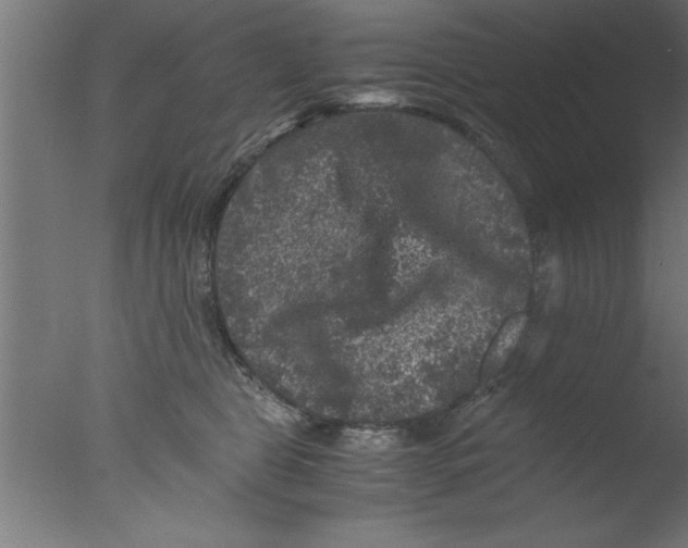 X0000076030469200610201832