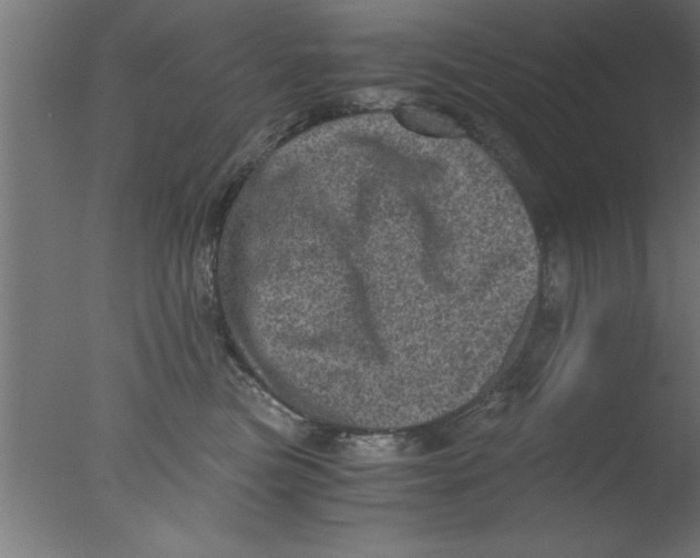 X0000076030473200610201832