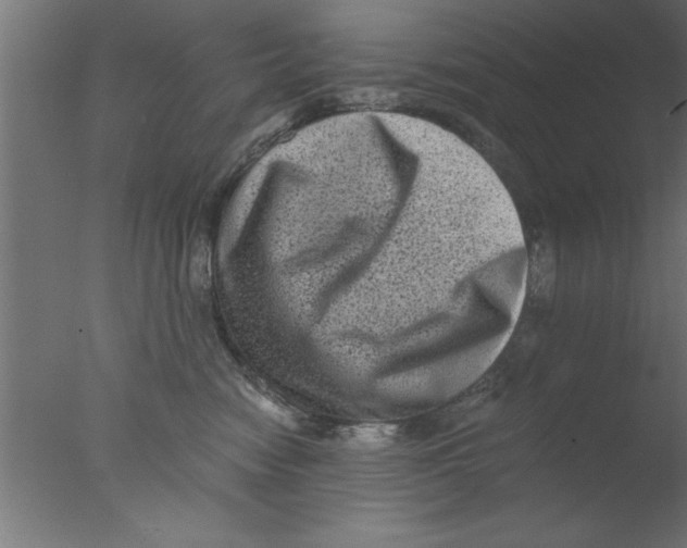 X0000076030474200610201832