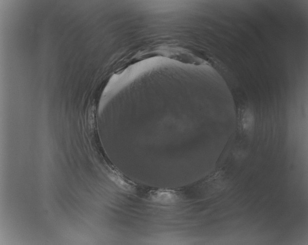 X0000076030475200610201832