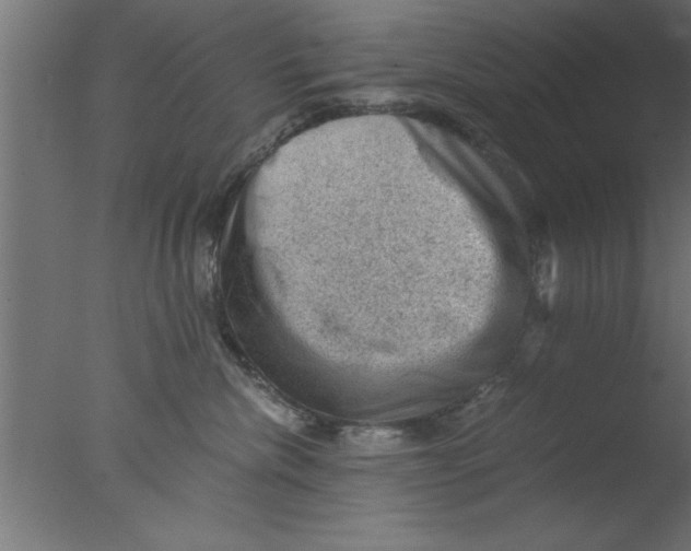 X0000076030476200610201832