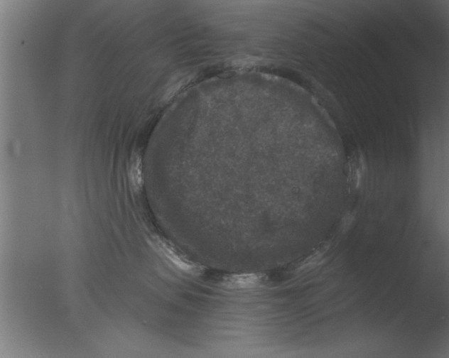 X0000076030479200610201832