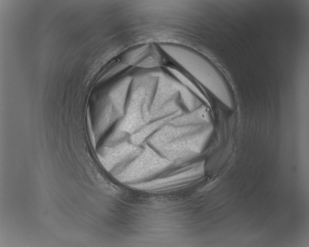 X0000076030481200610201831