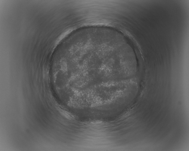 X0000076030483200610201831