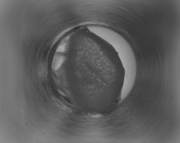 X0000076030484200610201831