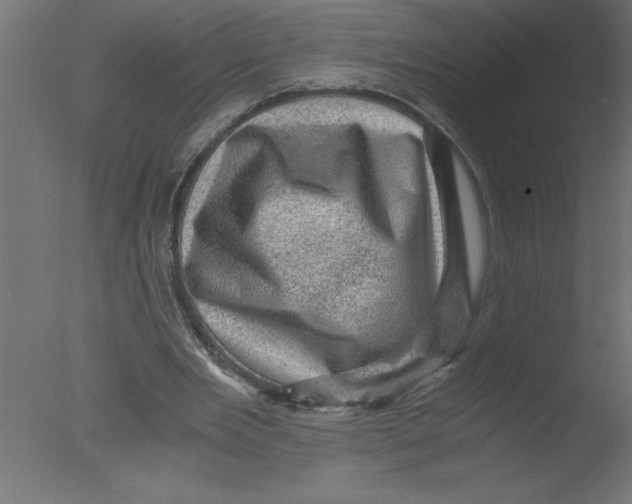 X0000076030485200610201831