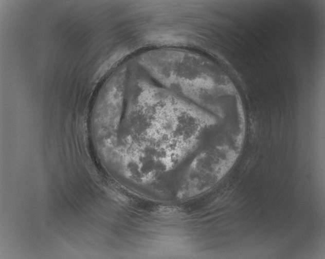 X0000076030487200610201831