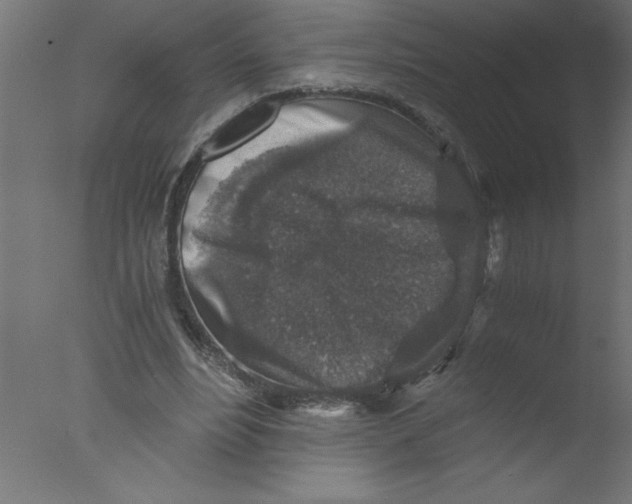 X0000076030488200610201831