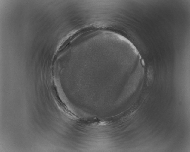 X0000076030492200610201831