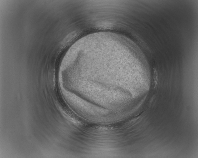 X0000076030494200610201831