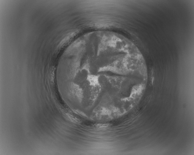 X0000076030495200610201831