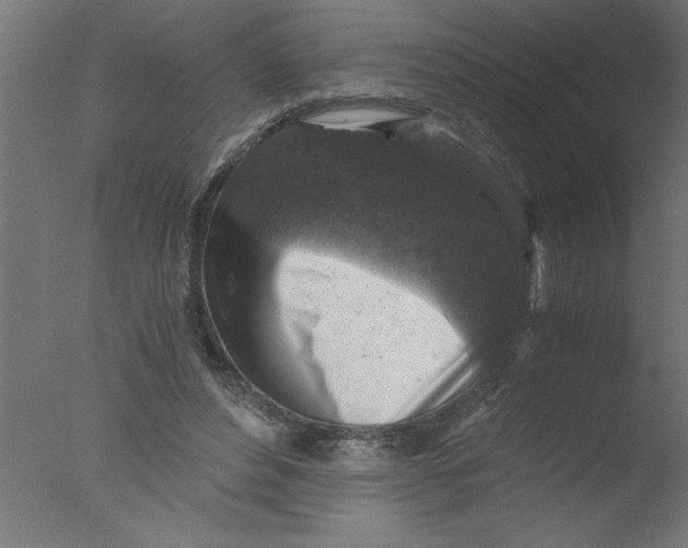 X0000076030496200610201831