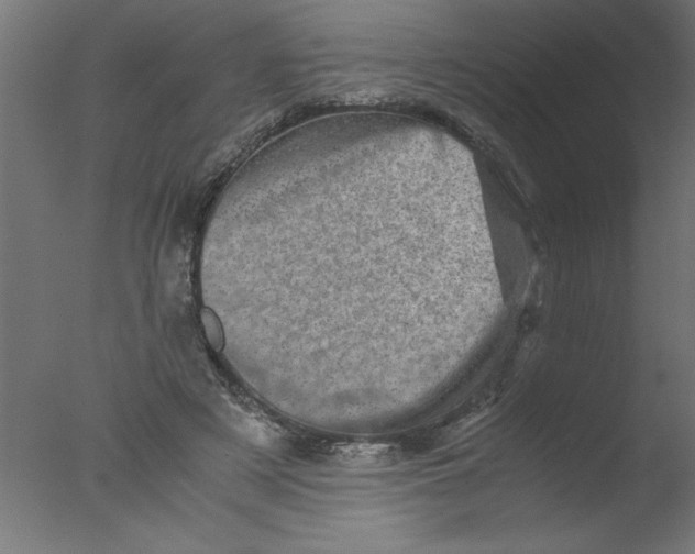 X0000076030497200610201831