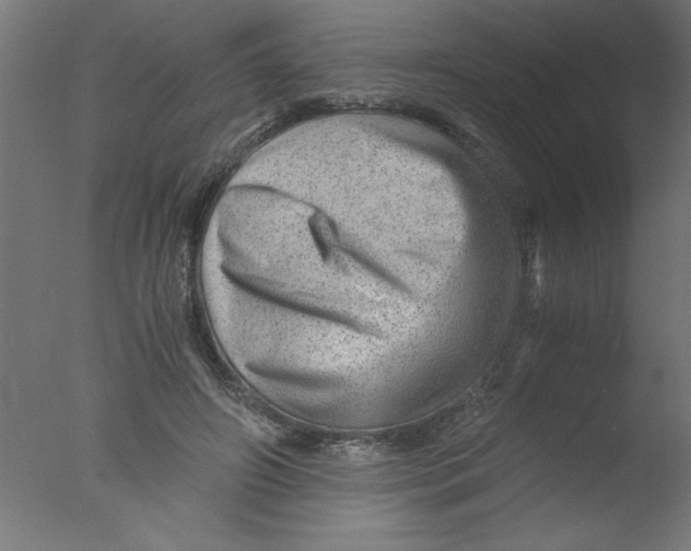 X0000076030498200610201831