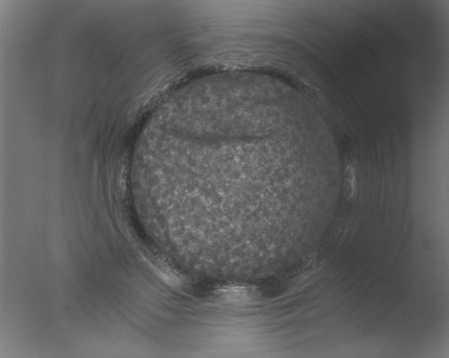 X0000076030499200610201831