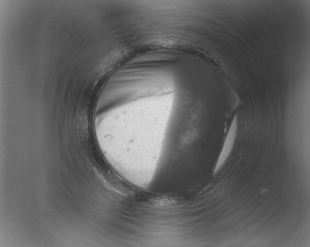 X0000076030500200610201831