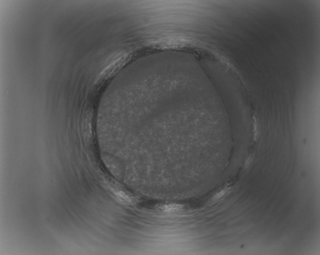 X0000076030501200610201831