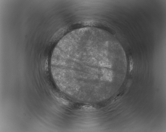 X0000076030502200610201831