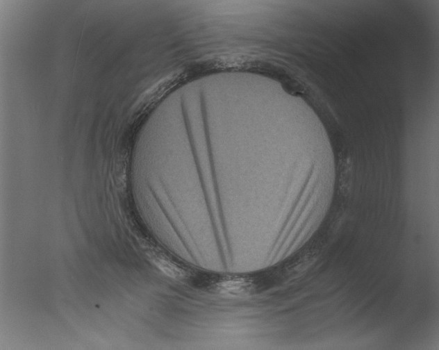 X0000076030505200610201831