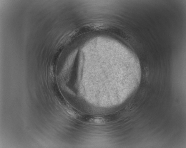 X0000076030506200610201831