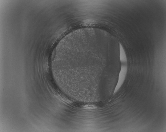 X0000076030508200610201831