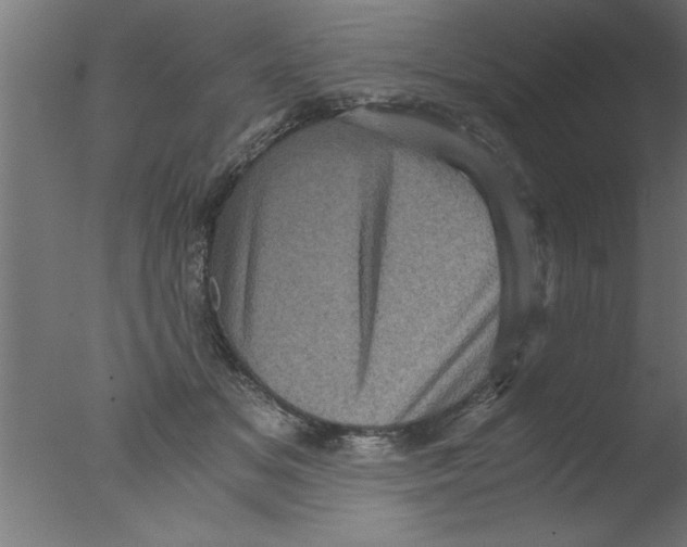 X0000076030509200610201831